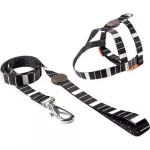 Peitoral e Guia Outdoor Eclipse Tamanho M Toh