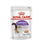 Ra��o �mida Royal Canin Sabor Pat� Para Gatos Adultos Castrados Sach� 85g
