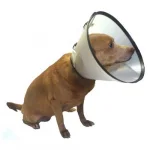 Colar Elizabetano Tamanho 02 Confort Un