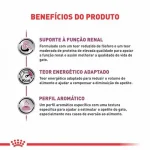 Ra��o �mida Sach� Veterinary Diet Renal Para Gatos com Insufici�ncia Renal Royal Canin 85g