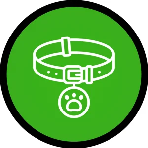 Categoria Acess�rios para Pets