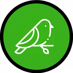 Categoria P�ssaros