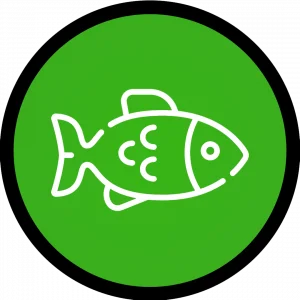 Categoria Peixes