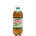 Guaran� Antarctica zero 600ml