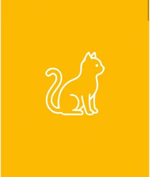 Categoria Gatos