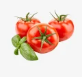 Tomate Italiano