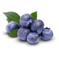 Mirtilo Blueberry Bdj 150g
