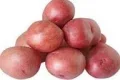 batata asterix