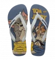Chinelo Havaianas Top Warner Classics