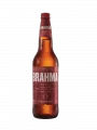 BRAHMA DUPLO MALTE 600 ML