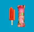 Frutos Goiaba 60g