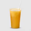 Sucos 300ml