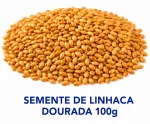 SEMENTE DE LINHACA DOURADA 100g