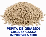 PEPITA DE GIRASSOL CRUA S/ CASCA IMPORTADA 100G