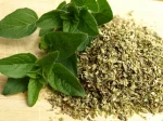 OREGANO ( À GRANEL )