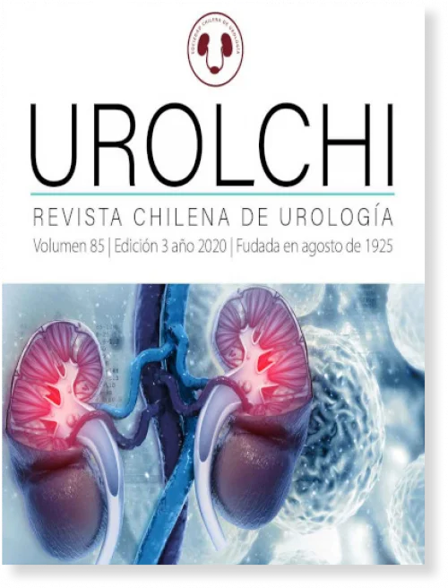Revista Chilena de Urologia