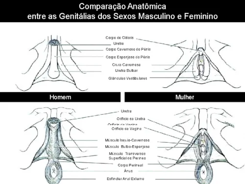 Pl�stica Vaginal � Labioplastia- Cirurgia �ntima � Pl�stica Genital � Redu��o dos L�bios Vaginais