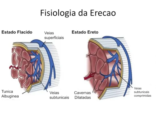 Impot�ncia Sexual em Homens Jovens