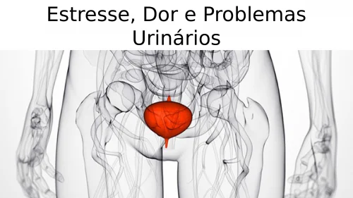 Estresse e dor a conex�o entre emo��es e como ela funciona