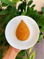Coxinha de Frango