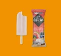 DELICIA IOGURTE COM FRUTAS VERMELHAS 60G