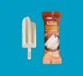 SABORES REGIONAIS TAPIOCA 60G