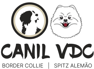 Canil VDC
