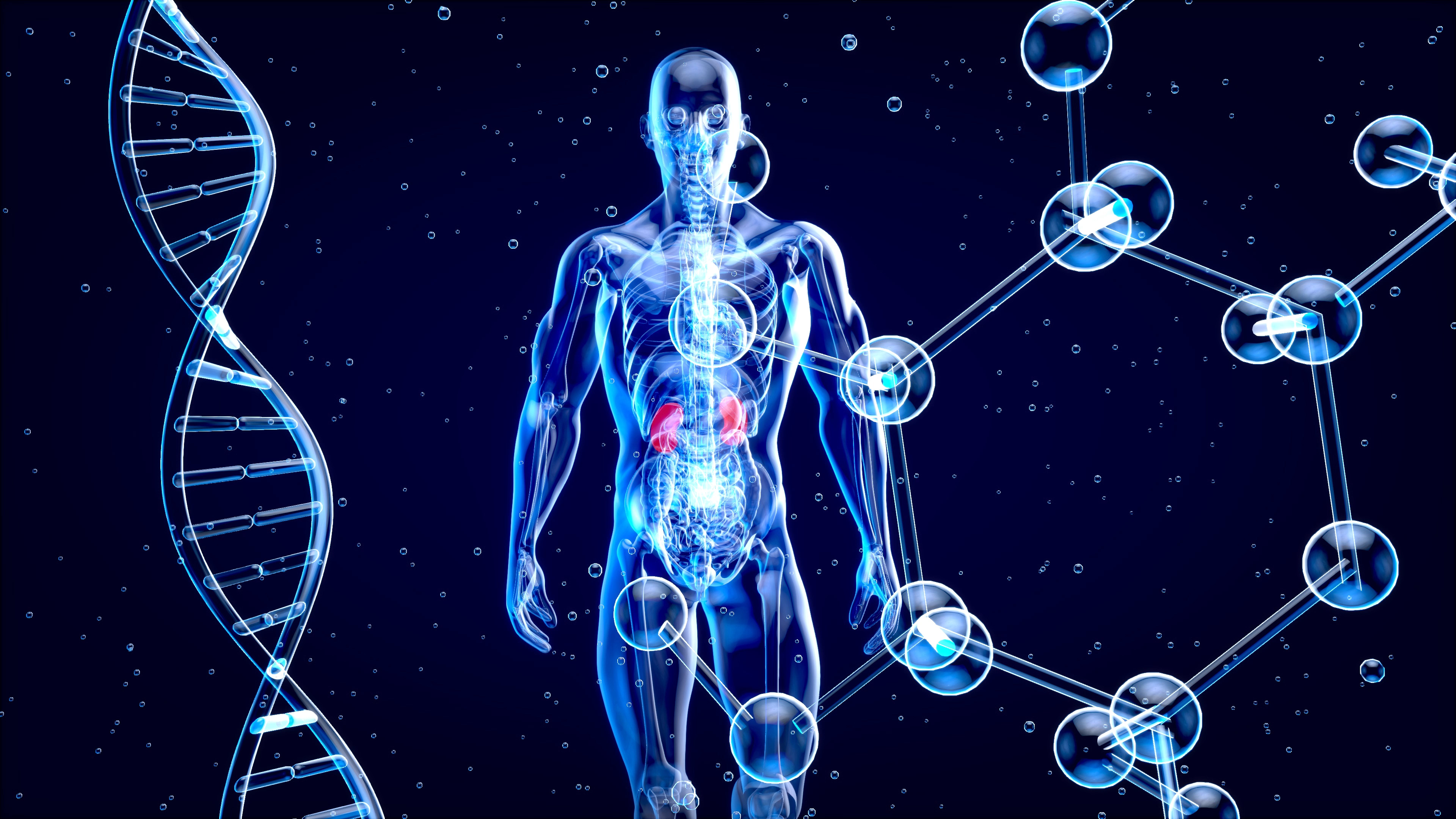 Cientista brasileiro participa de transplante de rim de porco nos EUA