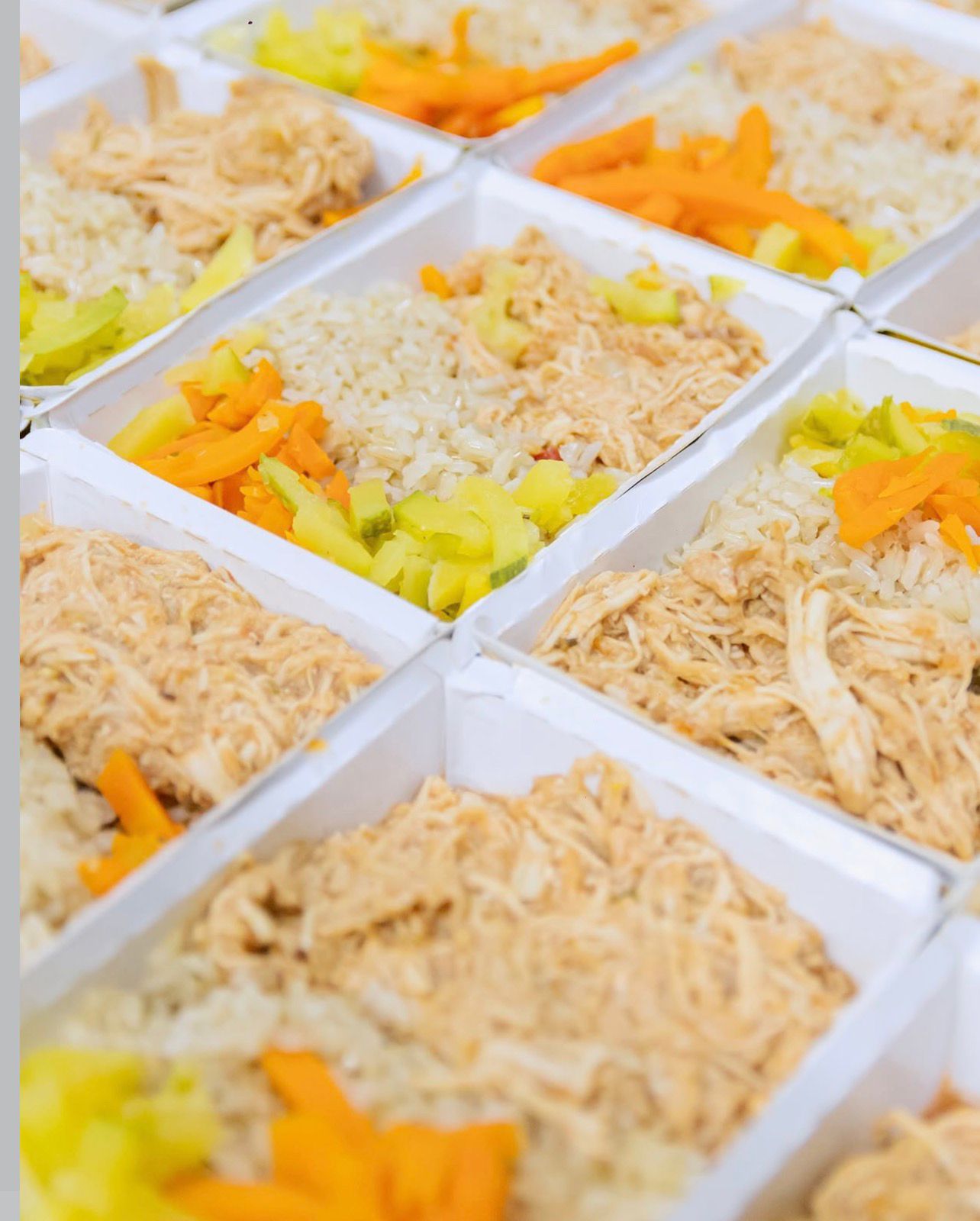 COMBOS DE FRANGO 225G