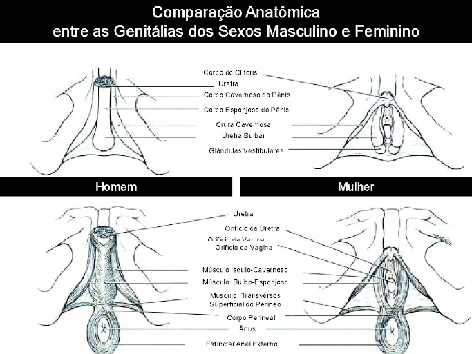 Cirurgia �ntima Feminina